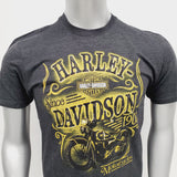 Hd Lightning S/S Mens
